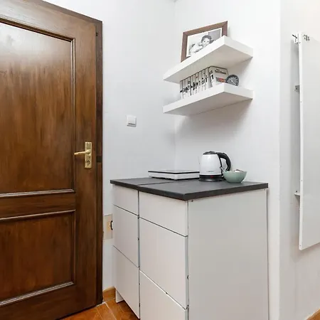 4 Floor Studio City Center By Renters * Breslavia